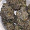 #UMAMI GENETICS | BIG panda & TINY dragon - product photo 4