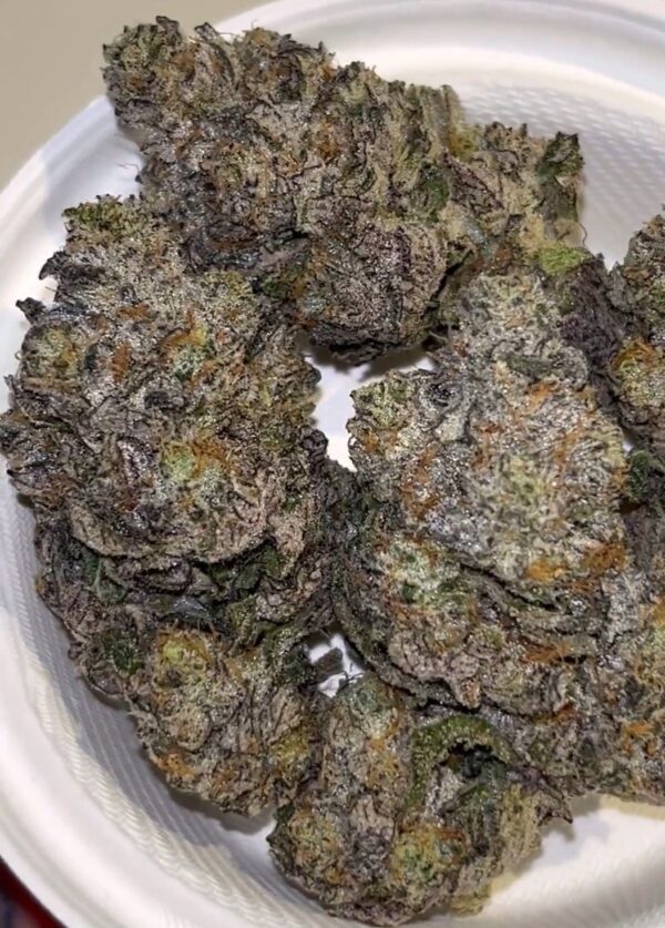 #UMAMI GENETICS | BIG panda & TINY dragon - product photo 4