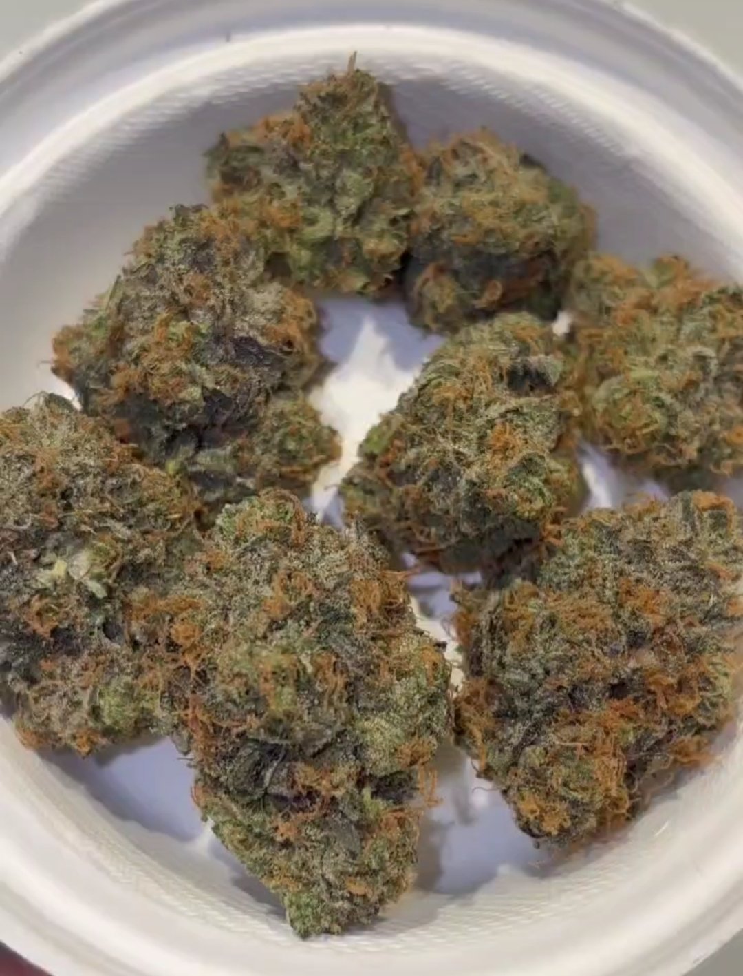 Sturts Doinks: Don Pedro ( THC 25 - 31%) - product photo 2