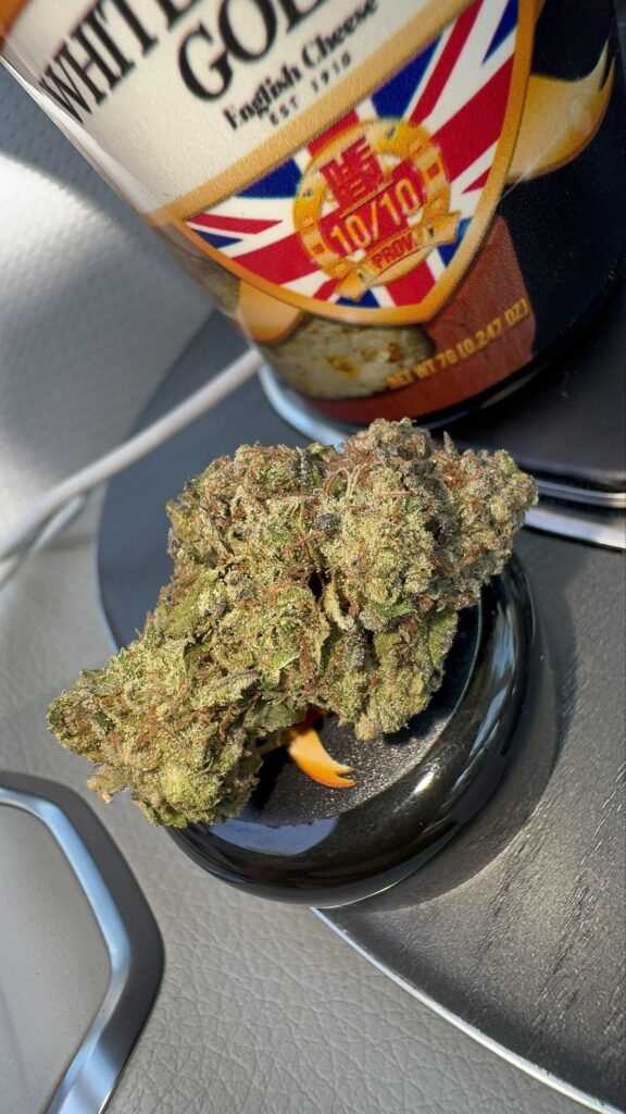 TENCO: White Stilton Gold – By The TenCo - product photo 3