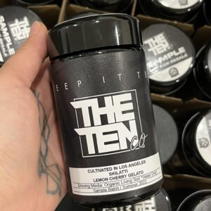 TENCO: Skilatti – By The TenCo | Best Skilatti ever heard by TenCo