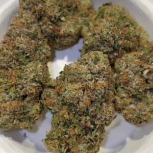 TENCO: Buluga Caviar (11/10 Friends and Family Batch)