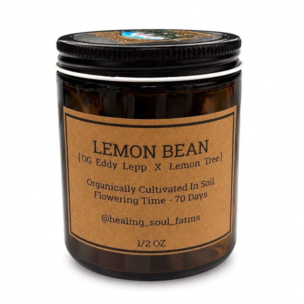 Healing soul farms: Lemon Bean