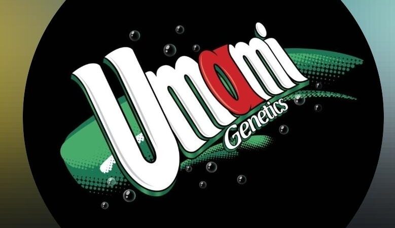 Shop Umami Genetics Cannabis At Imperial Club