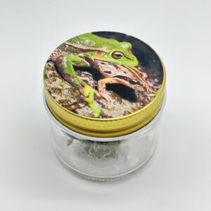 Toad Venom strain