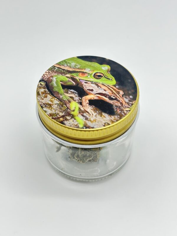 Toad Venom strain