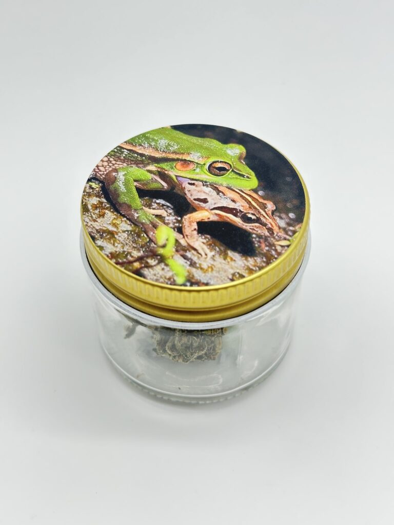 Toad Venom strain