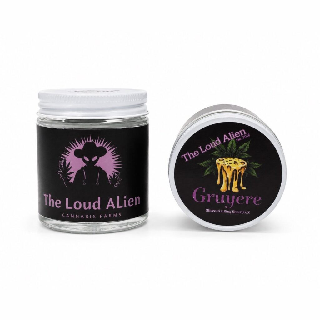Gruyere strain