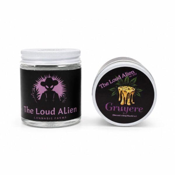 Gruyere strain