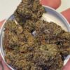 Gruyere Strain by The Loud Alien — Funky Candy Hybrid