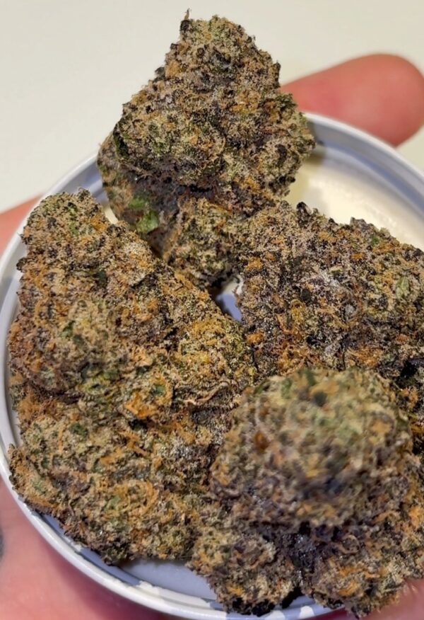 Gruyere Strain by The Loud Alien — Funky Candy Hybrid - product photo 2