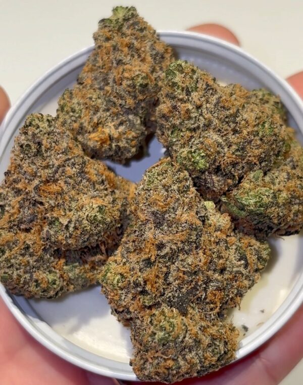 Pynk Eureka Strain by The Loud Alien — Lemon Slushie x Sweet Retreat