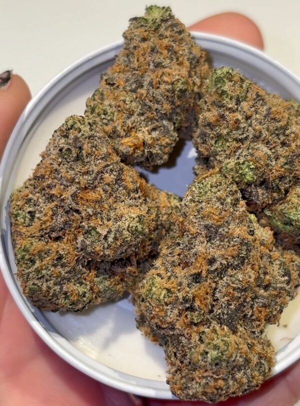 Pynk Eureka Strain by The Loud Alien — Lemon Slushie x Sweet Retreat - product photo 2