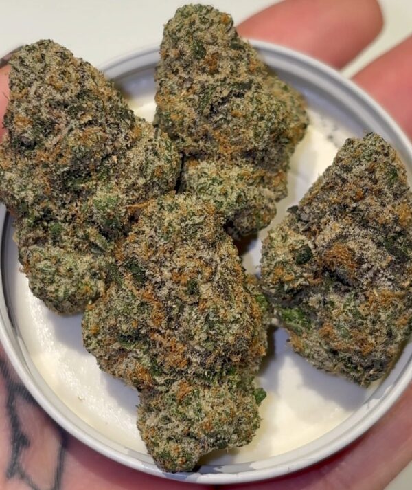 The Loud alien: Tropical Zmoothie (cream smoothie x z)