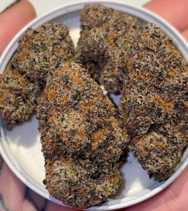 The loud alien: Purple Zkyfish lemon zlusbie x sweet retreat) - product photo 2