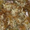 Buy Starburst OG cannabis Strain online