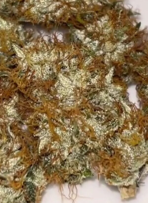 Buy Starburst OG cannabis Strain online