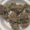 Candito Doughlato strain