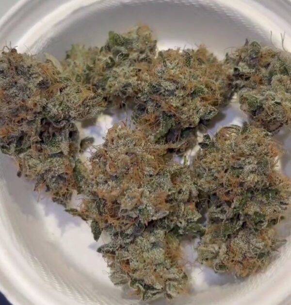 Candito Doughlato strain