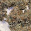 Candito Doughlato strain