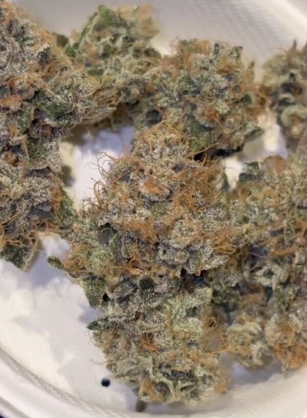 Candito Doughlato strain