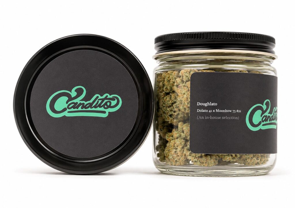 Candito Doughlato strain