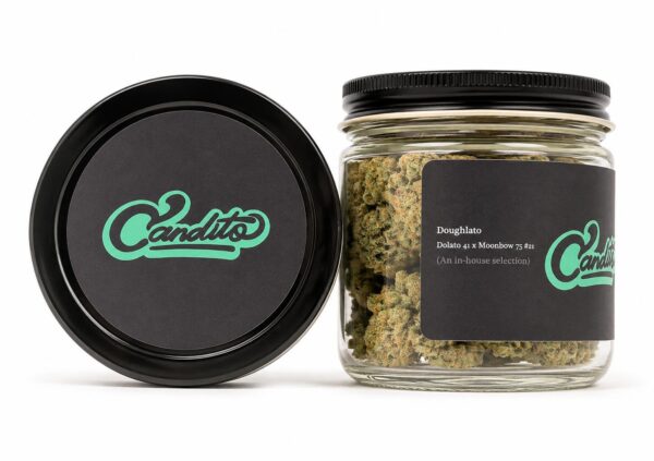 Candito Doughlato strain