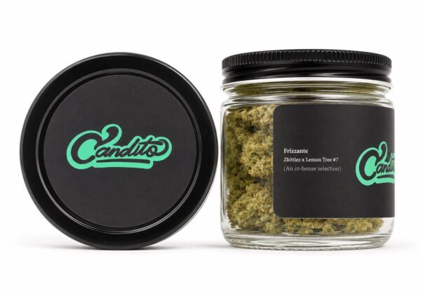 Candito Frizzante hybrid strain