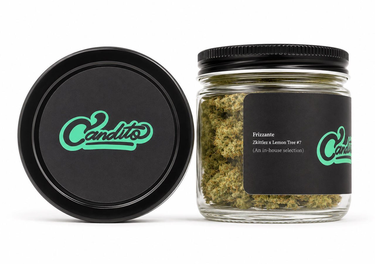 Candito Frizzante hybrid strain