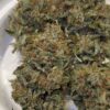 Candito Frizzante hybrid strain