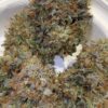 Candito Zkittles original cut strain