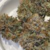 Candito Zkittles original cut strain