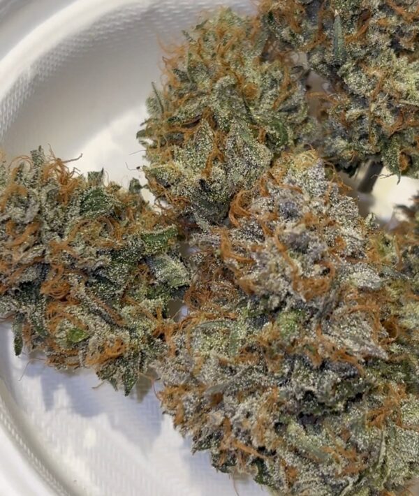 Candito Zkittles original cut strain