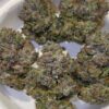 Umami Genetics Prezzure strain