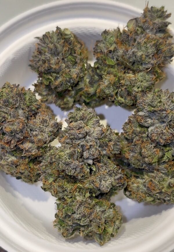 Umami Genetics Prezzure strain