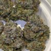 Umami Genetics Prezzure strain