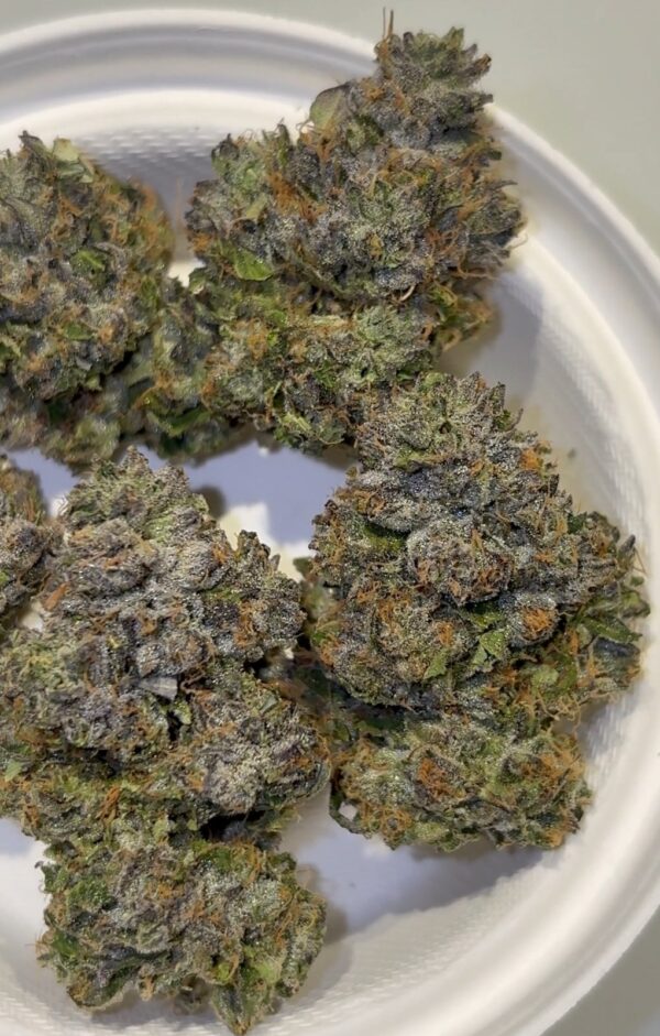 Umami Genetics Prezzure strain