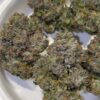 Umami Genetics Prezzure strain