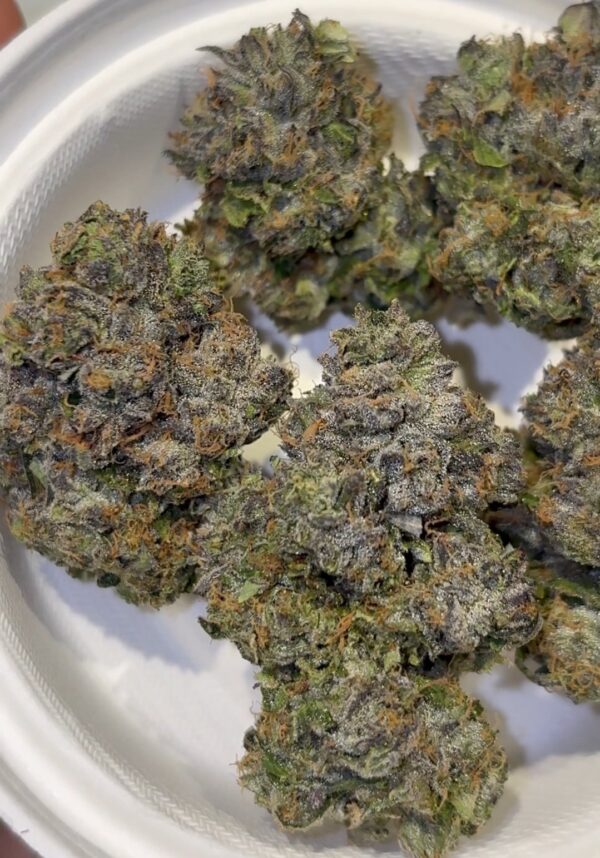Umami Genetics Prezzure strain