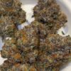 Umami Genetics Umami loops strain