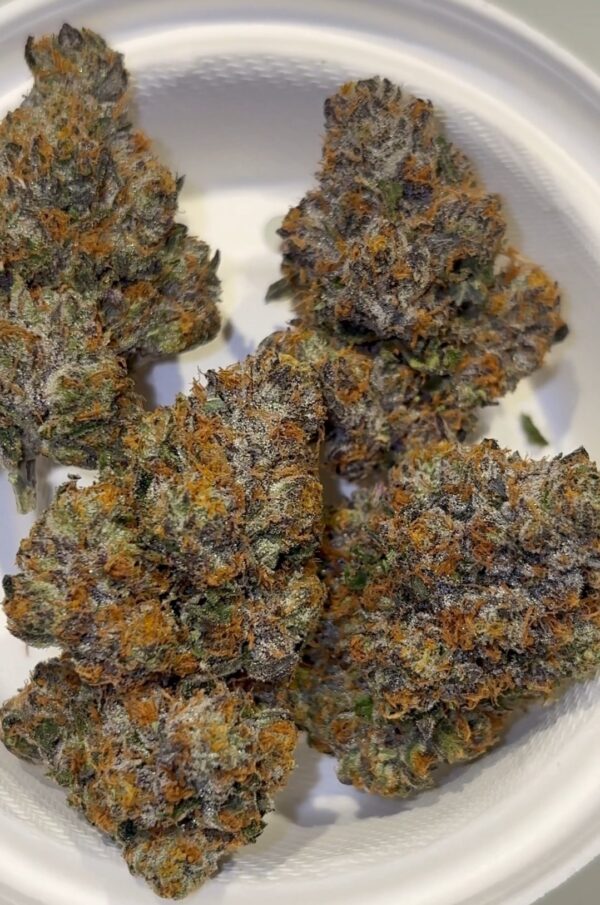 Umami Genetics Umami loops strain