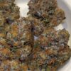 Umami Genetics Umami loops strain