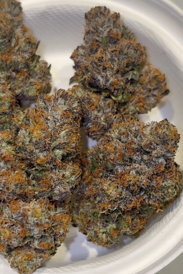 Umami Genetics Umami loops strain