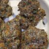 Umami Genetics Umami loops strain