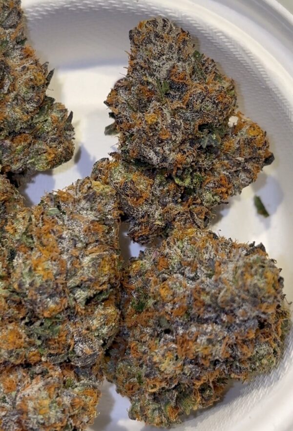 Umami Genetics Umami loops strain