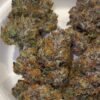 Umami Genetics Umami loops strain