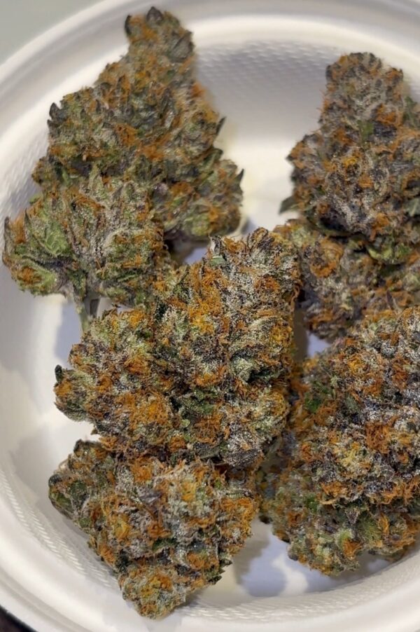 Umami Genetics Umami loops strain