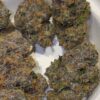Umami Genetics Grandmas Cookies strain