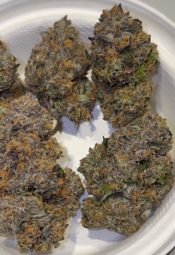Umami Genetics Grandmas Cookies strain