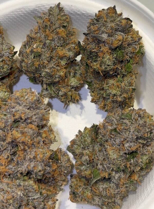 Umami Genetics Grandmas Cookies strain